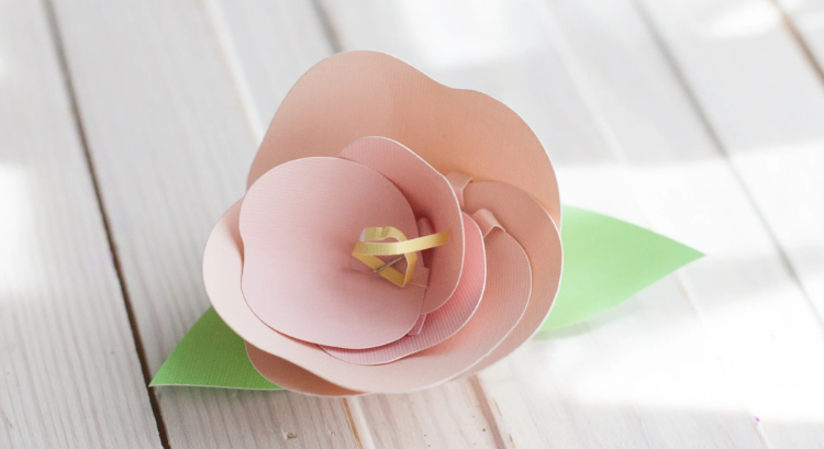 learn-how-to-assemble-paper-flower-made-by-cricut-machine